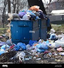 Best Yard Waste Removal  in Raytown, MO